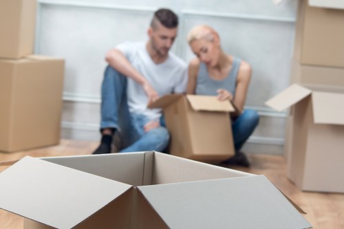 Professional packing materials and organised moving boxes