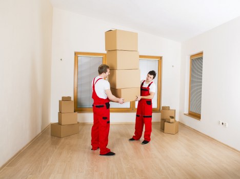 Careful packing of fragile household items in Finchley